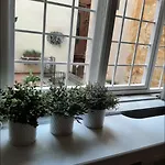 Diana\'S Loft